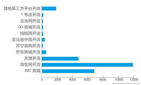 中國(guó)企業(yè)電子商務(wù)IT建設(shè)報(bào)告 電子商務(wù)技術(shù)發(fā)展與應(yīng)用